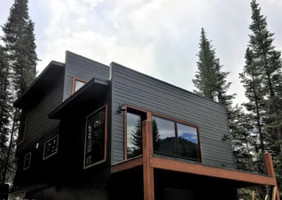 A house in the woods with a black exterior.